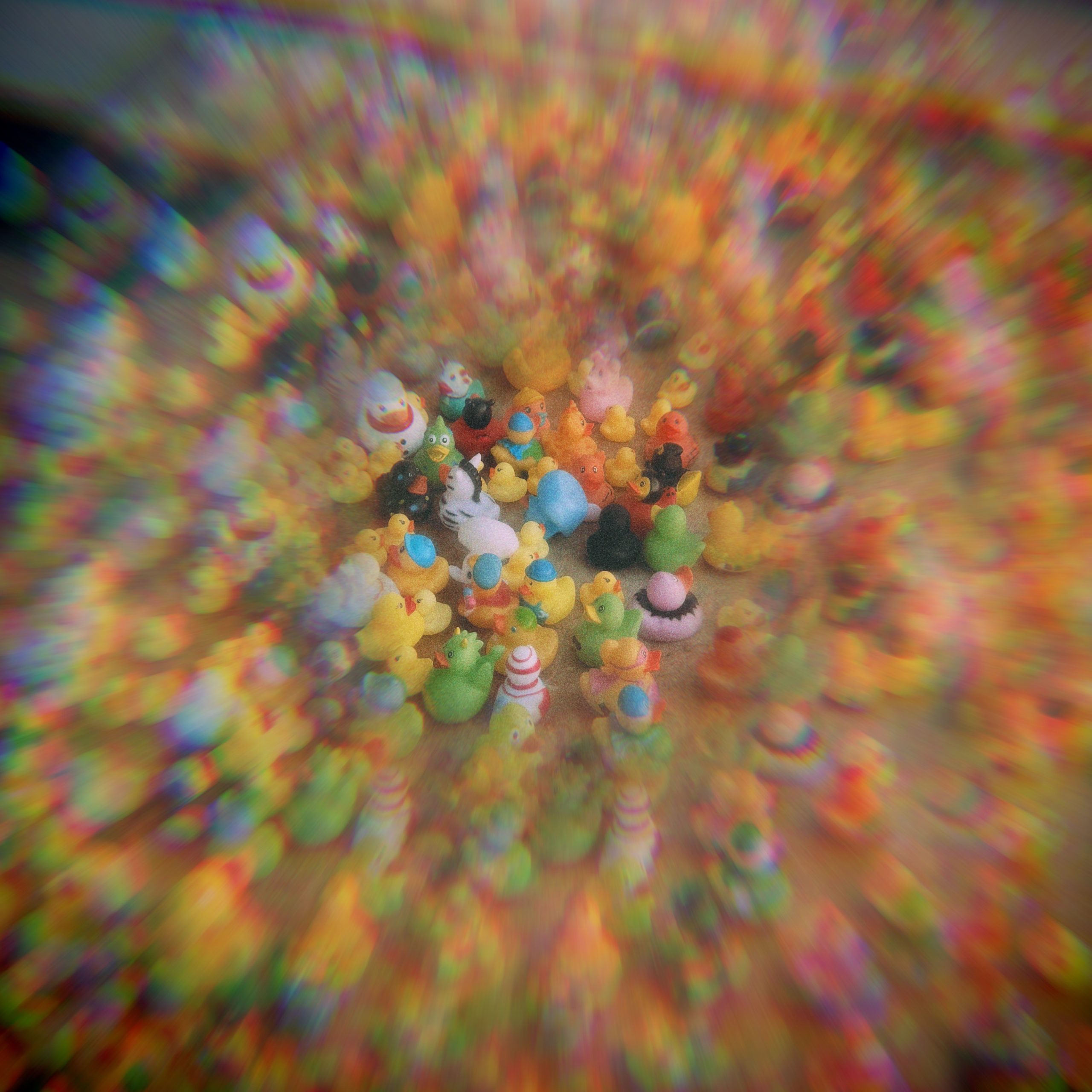 Reverberating Image of a Randomly Scattered Rubber Ducky Collection